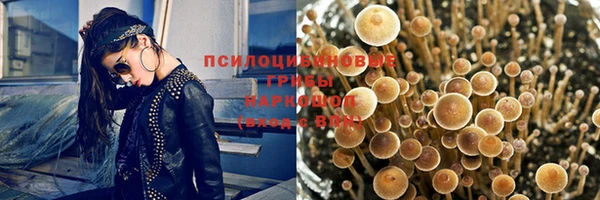 стаф Абинск