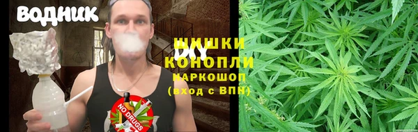 молекула духа Приозерск