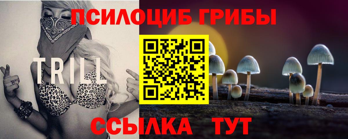 Галлюциногенные грибы Magic Shrooms  Галлюциногенные грибы Psilocybe  Вход с VPN  что такое   Кумертау 